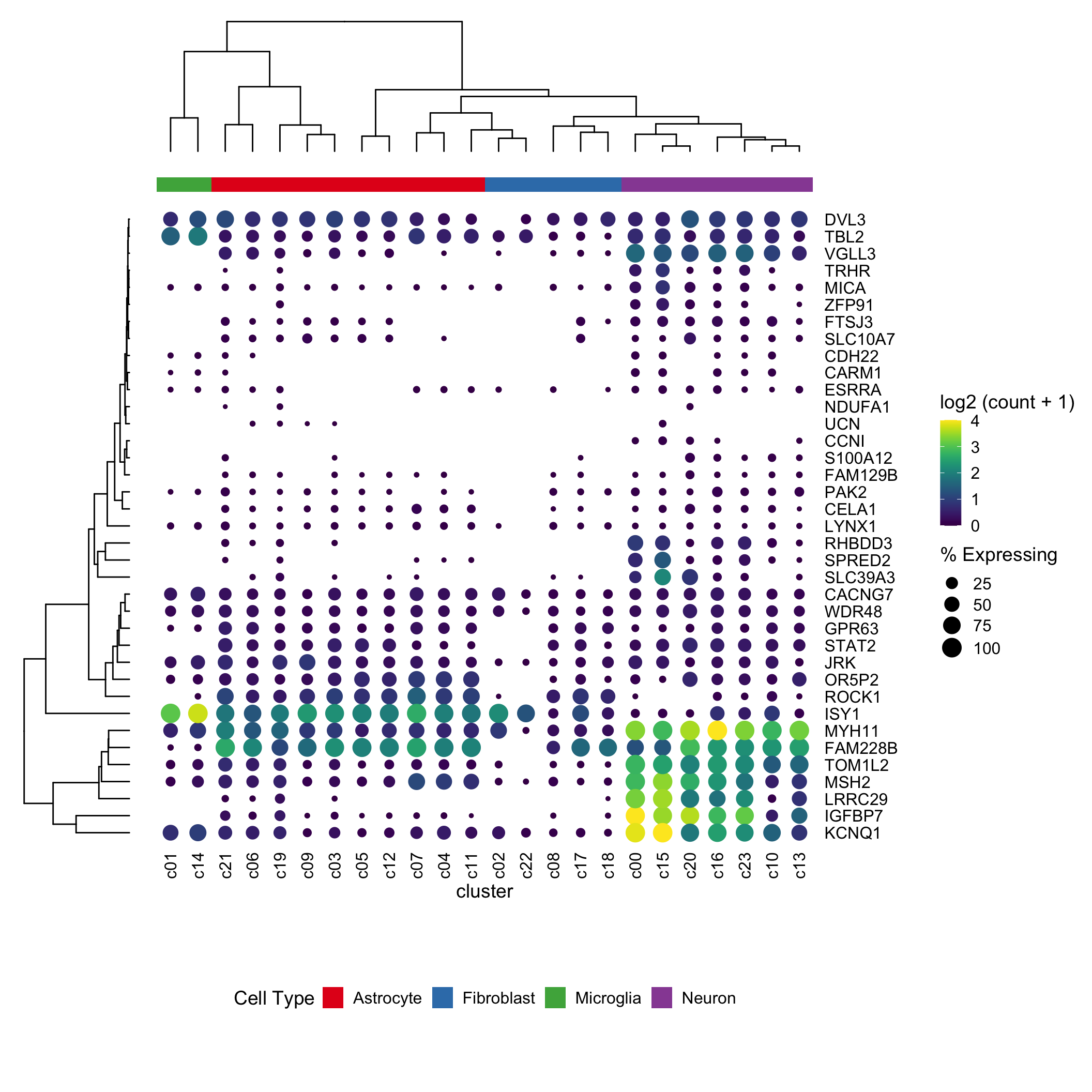 clustered-dotplot-for-single-cell-rnaseq-dna-confesses-data-speak